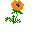 Lilyplant.png