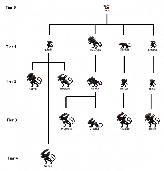Файл:DMCA Evolution Diagram.png